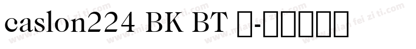 caslon224 BK BT 粗字体转换